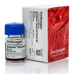 Thermo Fisher Scientific Dynabeads Sheep-Anti Mouse IgG