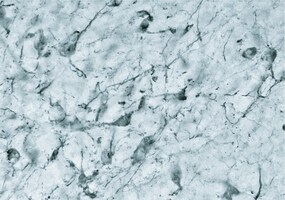 Merck ANTI-MCH, DEVELOPED IN RABBIT, IGG FRACT