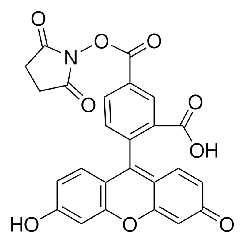 Merck 5-Carboxyfluorescein N-succinimidyl ester