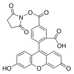 Merck 5-Carboxyfluorescein N-succinimidyl ester
