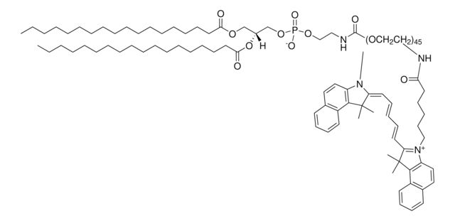 Merck DSPE PEG(2000)-N-CY5.5