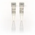 Thermo Fisher Scientific Glycogen, molecular biology grade