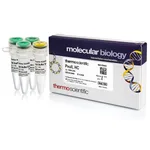 Thermo Fisher Scientific PvuII, HC (50 U/μL)