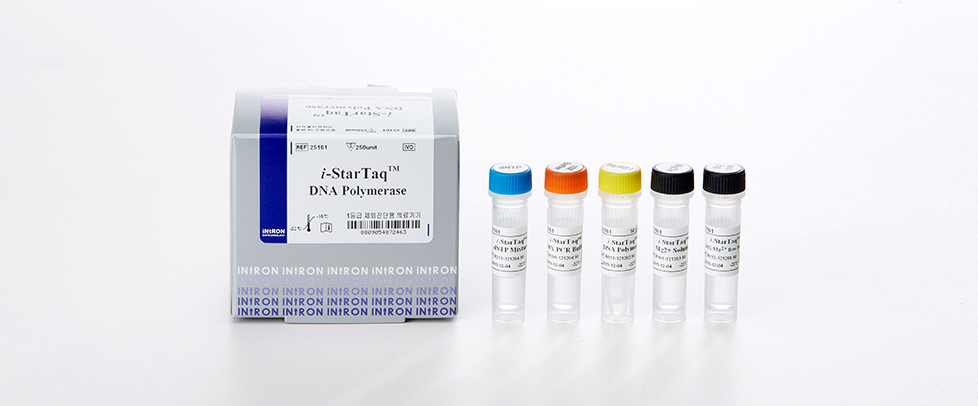Intron i-StarTaq™ DNA Polymerase