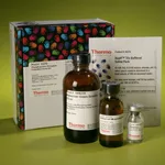Thermo Fisher Scientific Pierce Phosphoprotein Phosphate Estimation Assay Kit