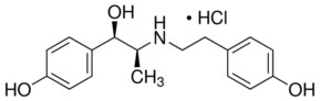 Merck RITODRINE HYDROCHLORIDE