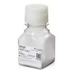 Thermo Fisher Scientific ZOOM CHAPS