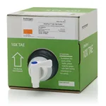 Thermo Fisher Scientific UltraPure TAE Buffer, 10X, 4 L