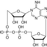 Merck CYCLIC ADENOSINE DIPHOSPHATE-RIBOSE