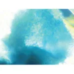 Himedia EZstain Chondrocyte Staining Kit