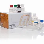 Thermo Fisher Scientific IL-4 Rat ELISA Kit