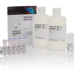 Thermo Fisher Scientific pHrodo Green E. coli BioParticles Phagocytosis Kit for Flow Cytometry