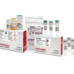 Thermo Fisher Scientific TrueTag Donor DNA Kit, GFP stem
