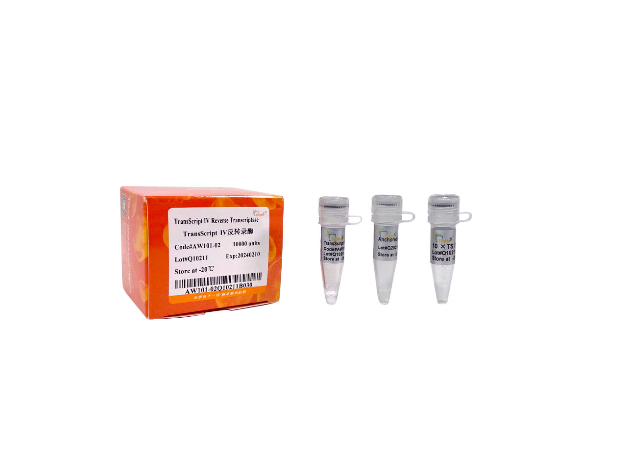 TransScript® IV Reverse Transcriptase