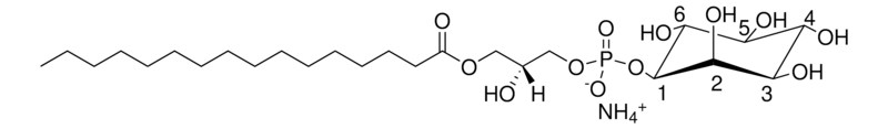 Merck 16:0 Lyso PI