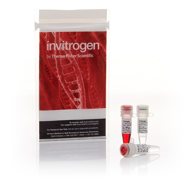 Thermo Fisher Scientific Anza 11 EcoRI, 8000 units