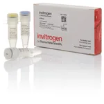 Thermo Fisher Scientific ezDNase Enzyme