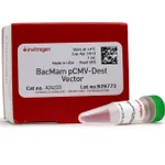 Thermo Fisher Scientific ViraPower BacMam Expression System