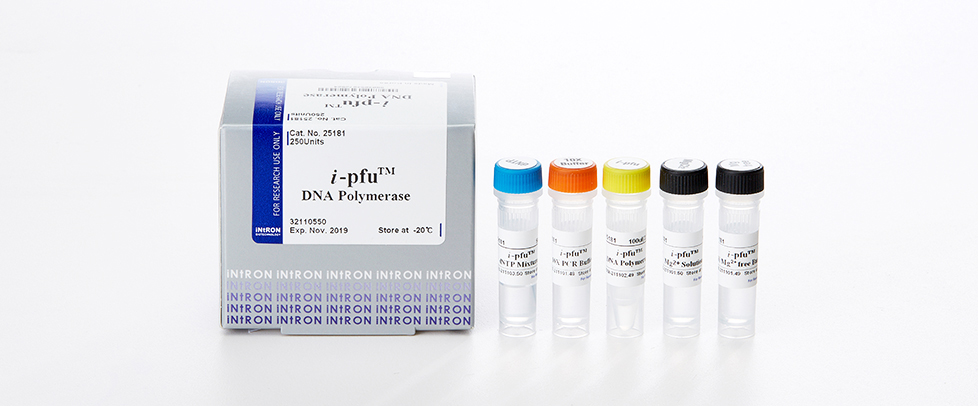 Intron i-pfu DNA Polymerase