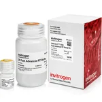 Thermo Fisher Scientific Cells-to-CT Bulk Fast Advanced RT Reagents