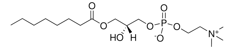 Merck 08:0 Lyso PC