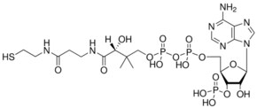 Merck COENZYME A (FREE ACID)
