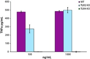 Merck LIPID A, MONOPHOSPHORYL FROM SALMON&
