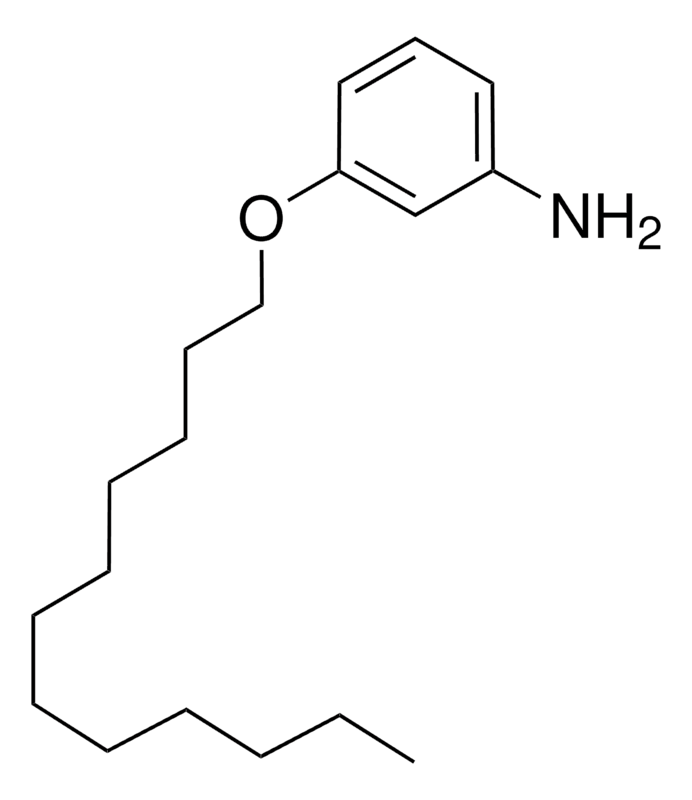 Merck 3-(DODECYLOXY)ANILINE-