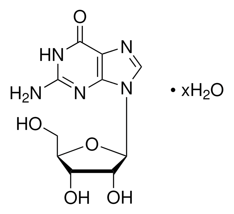 Merck Guanosine