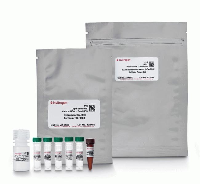Thermo Fisher Scientific LanthaScreen LRRK2 [pSer935] Cellular Assay Kit