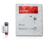 Thermo Fisher Scientific Tetramethylrhodamine (TAMRA) Azide (Tetramethylrhodamine 5-Carboxamido-(6-Azidohexanyl)), 5-isomer