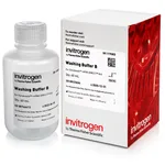 Thermo Fisher Scientific Wash Buffer B for Dynabeads mRNA Purification Kits