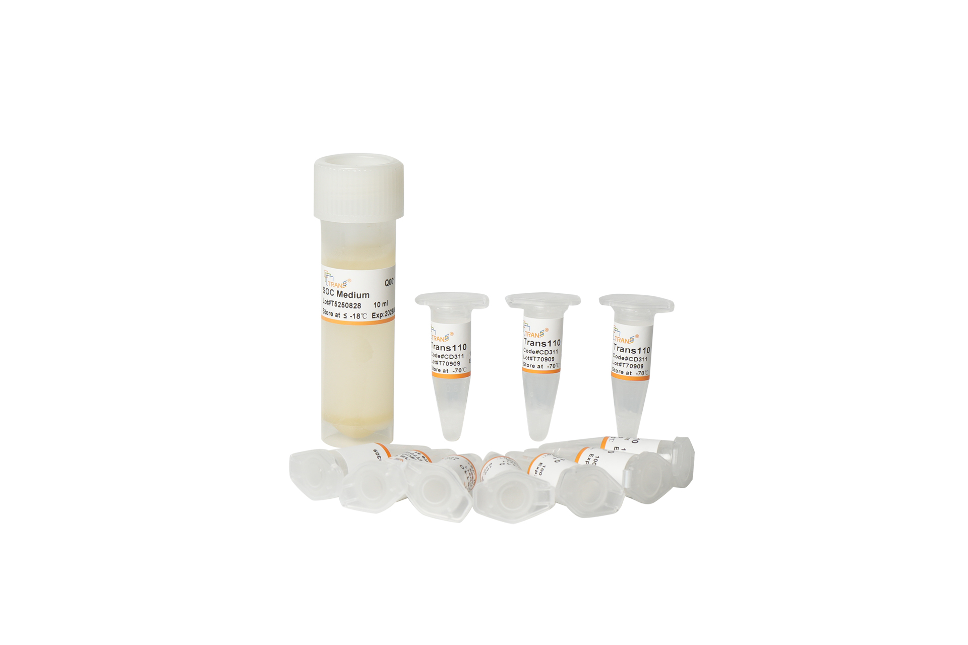 Trans110 Chemically Competent Cell