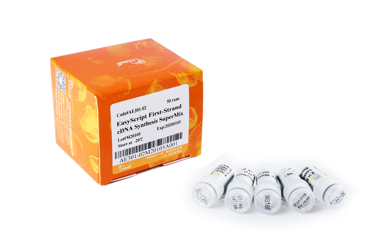 EasyScript® First-Strand cDNA Synthesis SuperMix