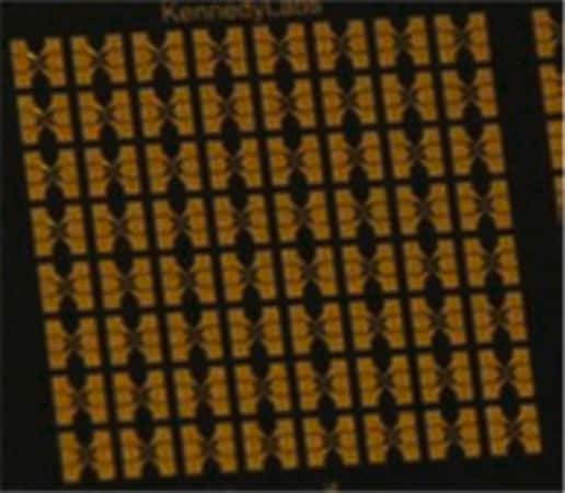 Merck Hall Device Chip