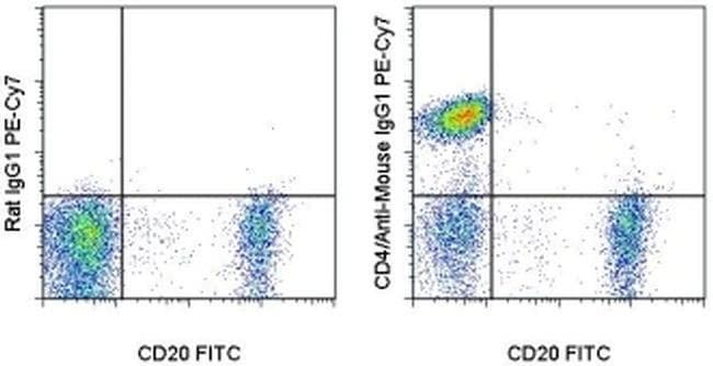 Thermo Fisher Scientific Rat anti-Mouse IgG1 Secondary Antibody, PE-Cyanine7, eBioscience