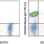 Thermo Fisher Scientific Rat anti-Mouse IgG1 Secondary Antibody, PE-Cyanine7, eBioscience