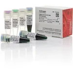 Thermo Fisher Scientific Platinum Taq Green Hot Start DNA Polymerase