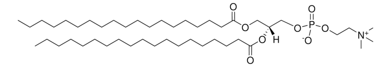 Merck 19:0 PC