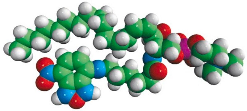 Merck C6-NBD Sphingomyelin