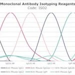 Merck MOUSE MONOCLONAL ANTIBODY ISOTYPING &