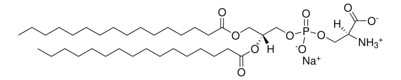 Merck 16:0 PS