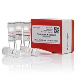 Thermo Fisher Scientific Proteinase K Solution (20 mg/mL), RNA grade