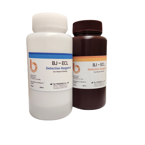 ECL Solution (Western Blotting Detection Kit)