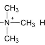 Merck 2-HYDROXYETHYL-TRIMETHYLAMMONIUM ACETATE