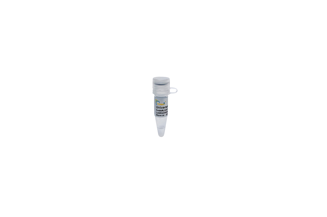 Universal Nuclease (GMP Grade)