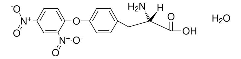 Merck O-(2,4-DINITROPHENYL)-L-TYROSIN