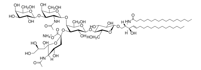 Merck C17:0 GM1 (synthetic)