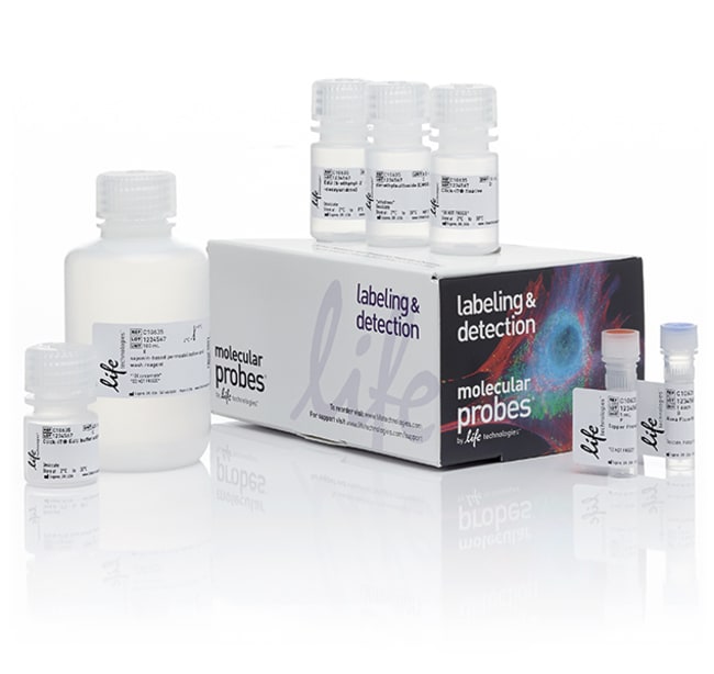Thermo Fisher Scientific Click-iT Plus EdU Alexa Fluor 647 Flow Cytometry Assay Kit, 100 rxn(s)