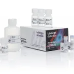 Thermo Fisher Scientific Click-iT Plus EdU Alexa Fluor 647 Flow Cytometry Assay Kit, 100 rxn(s)